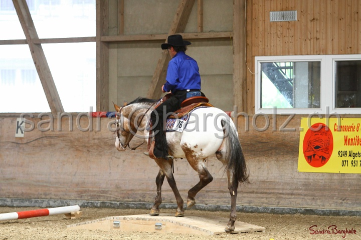 28-ApHC OT_241.jpg